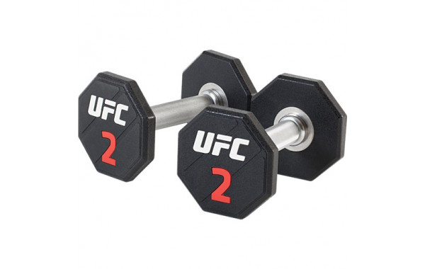 Premium уретановые гантели 2kg (пара) UFC UFC-DBPU-8305 600_380