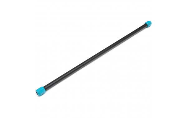 Гимнастическая палка Live Pro Weighted Bar LP8145-6 6 кг, синий\черный 600_380